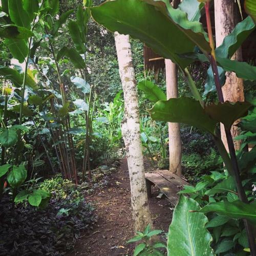 Lodge Jardin Del Pozo