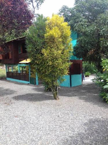 Pura Vida In Costa Rica