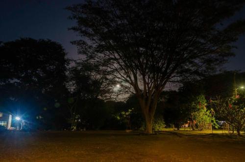 Las Quintas Monkey Lookout & Rural House