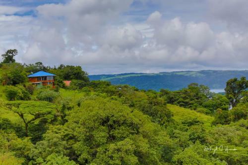 Bed & Breakfast Birdsong Villa