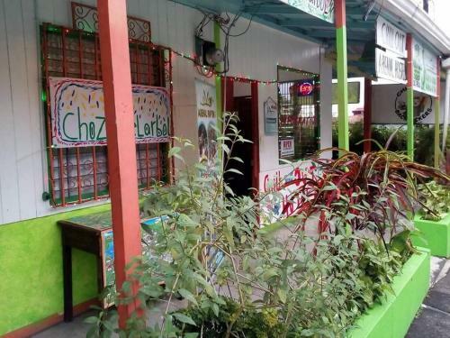 Hotel La Choza Del Arbol