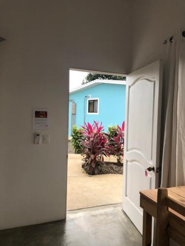 Posada New Coral Bungalow: Arenal View