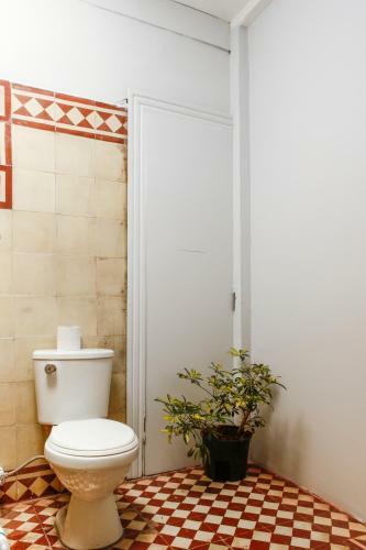Albergue Casa Centuria