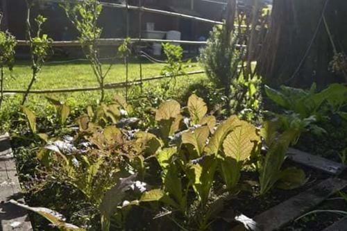 La Casita De Ani