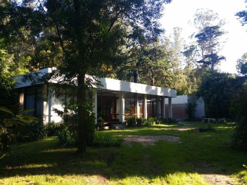 Casa Moderna En El Bosque Peralta Ramos