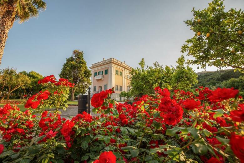 Hotel Villa Irlanda