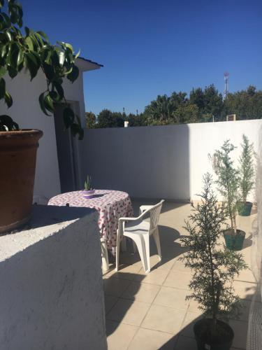 Apartamento Mendoza #7
