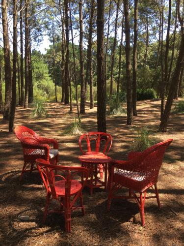 Lodge La Serena De Las Pampas