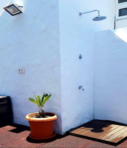 Apartamento Palmeral Pami