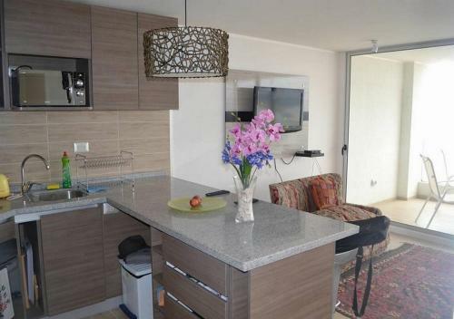 Apartamento Departamento Club Oc�ano 001