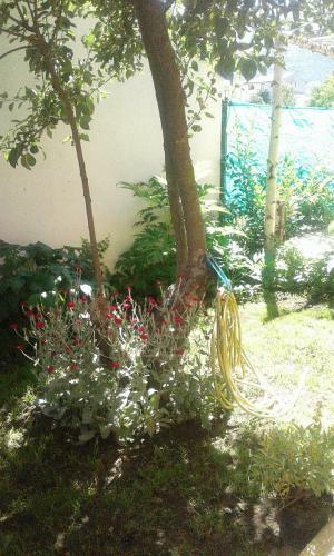 Casa Aigua