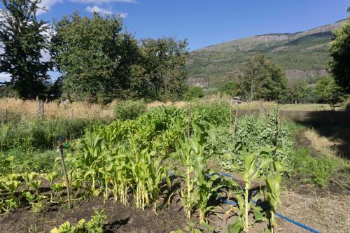 Agroturismo Casas De Campo Las Victorias