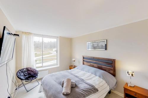 Apartamento Depto Azul Marino - Laguna Bah�a