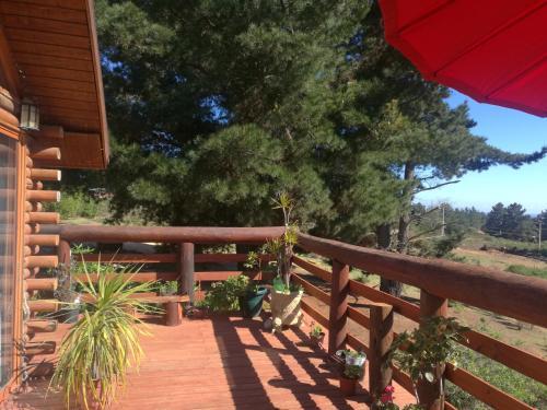 Lodge Con Piscina Privada, Parcela De Campo.