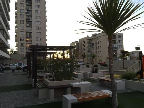 Apartamento Departamento Vista Montemar II