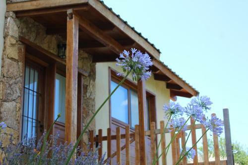 Casa De Vacaciones En La Cumbre