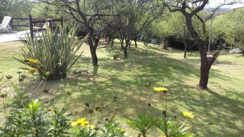 La Alquimia Casas De Campo