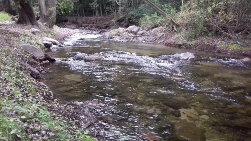 La Alquimia Casas De Campo