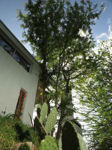 Apartamento Paloma Suite