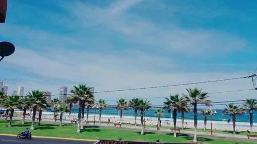 Bed & Breakfast Club Cavancha