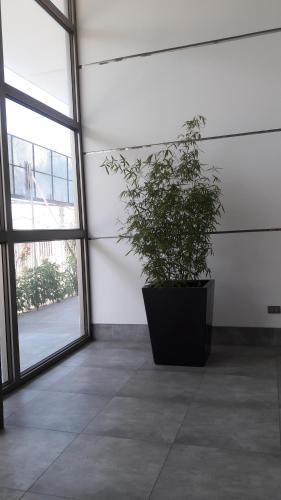 Apartamento Marina Golf