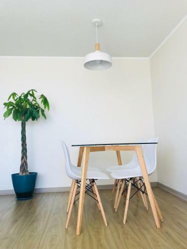 Apartamento Depto En La Serena