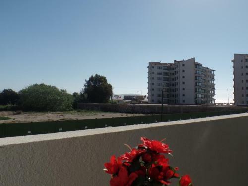 Apartamento Departamento Av Pacifico