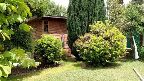 Lodge Caba�as Kalfucura