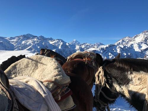 Hostal Refugio Cumbres