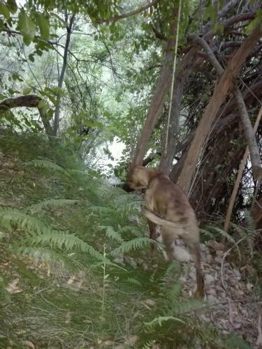 Hostal Refugio Cumbres