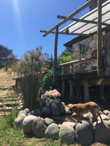 Jardines Playa Hermosa, Pichilemu