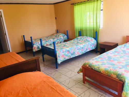 Albergue Green House Pichilemu