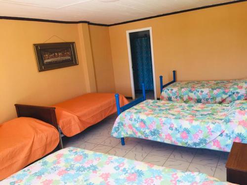 Albergue Green House Pichilemu
