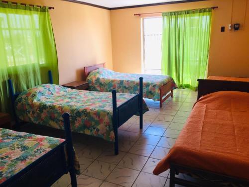Albergue Green House Pichilemu