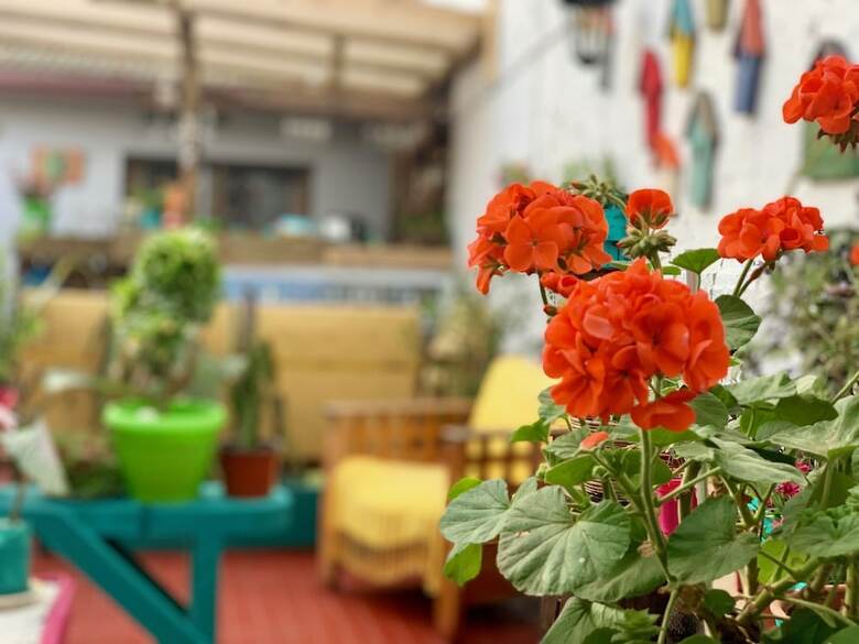 Hostal Dolegant Pichilemu
