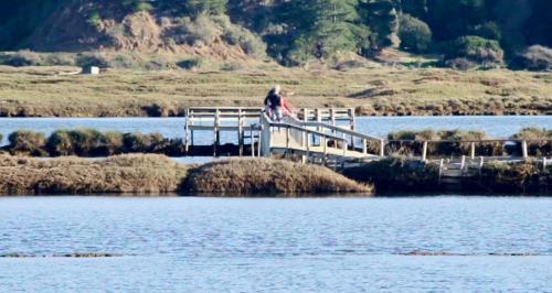Lodge Domo Ecol�gico Y Yoga