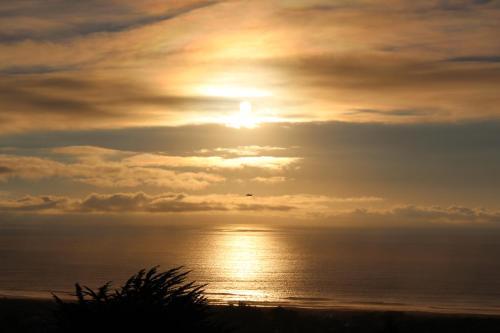 Vive Pichilemu