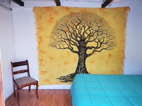 Hostal Nomad Paddle