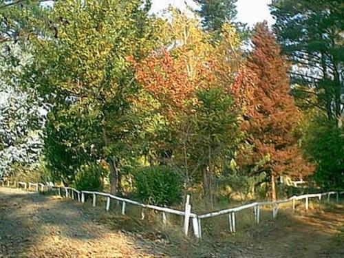 Casas Del Campo Los Arces