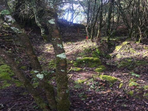 Casas Del Campo Los Arces