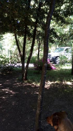 Agroturismo Parcela Nido Lleno