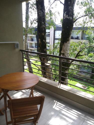 Apartamento Payllahue Pucon 308