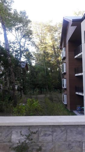 Apartamento Puc�n Andino, Depto.