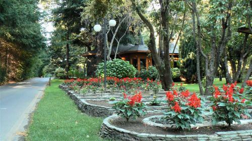 Lodge Caba�as El Dorado Bungalow 22