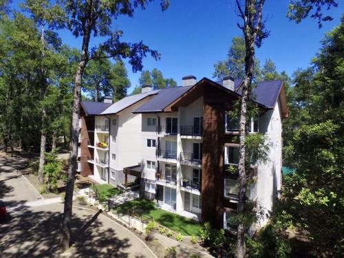 Apartamento Pucon Andino Los Hualles