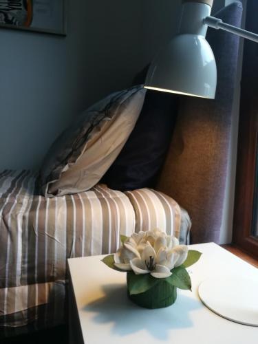 Apartamento Parque Pinares 501