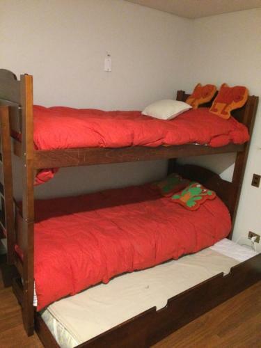 Apartamento Puc�n Junto Al Estero