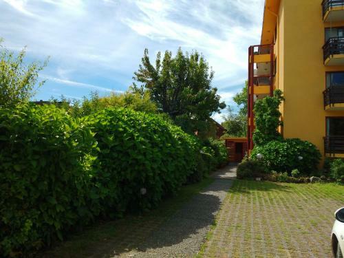 Apartamento Departamento Ideal En Centro De Pucon