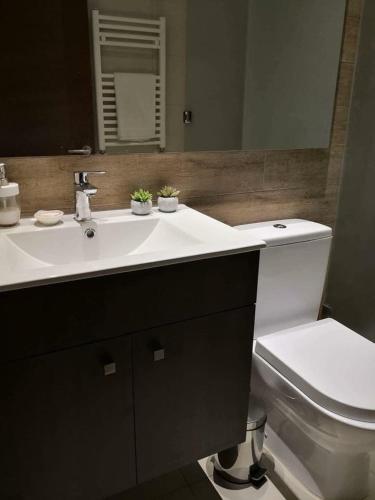 Apartamento Departamento Poza Puc�n R2-402