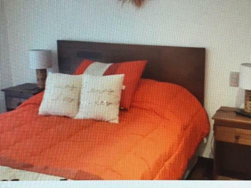 Apartamento Pucon Depto Con Jardin R1-103